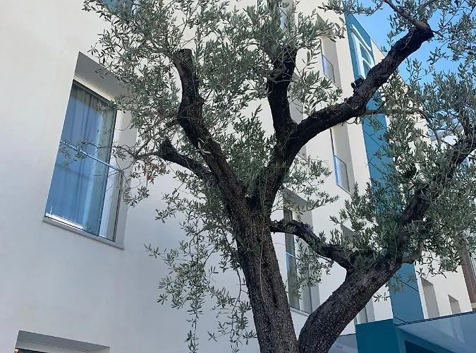 Biancodonda Greenblu & Ξενοδοχείο 5*